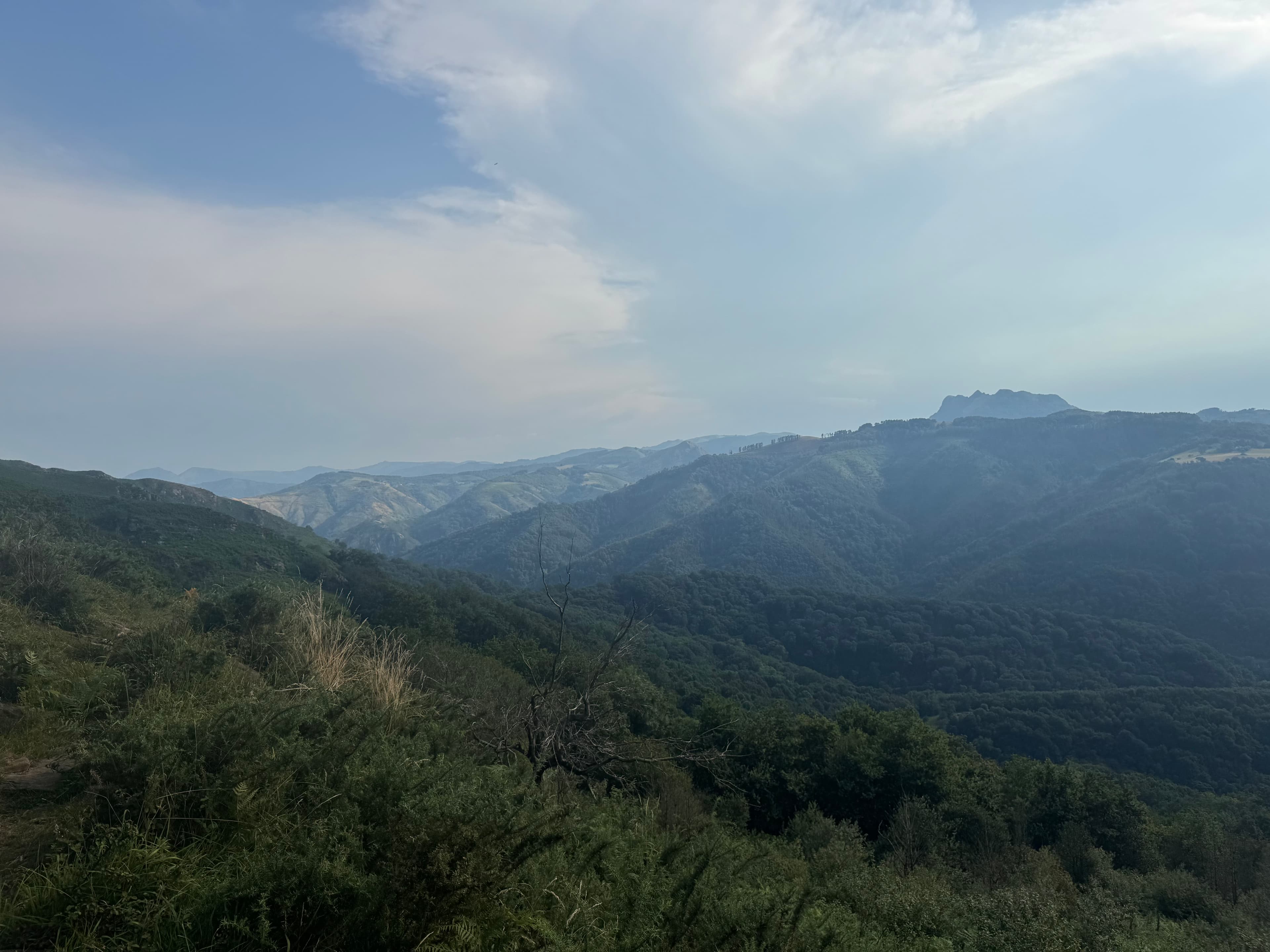 Paysage basque en juillet