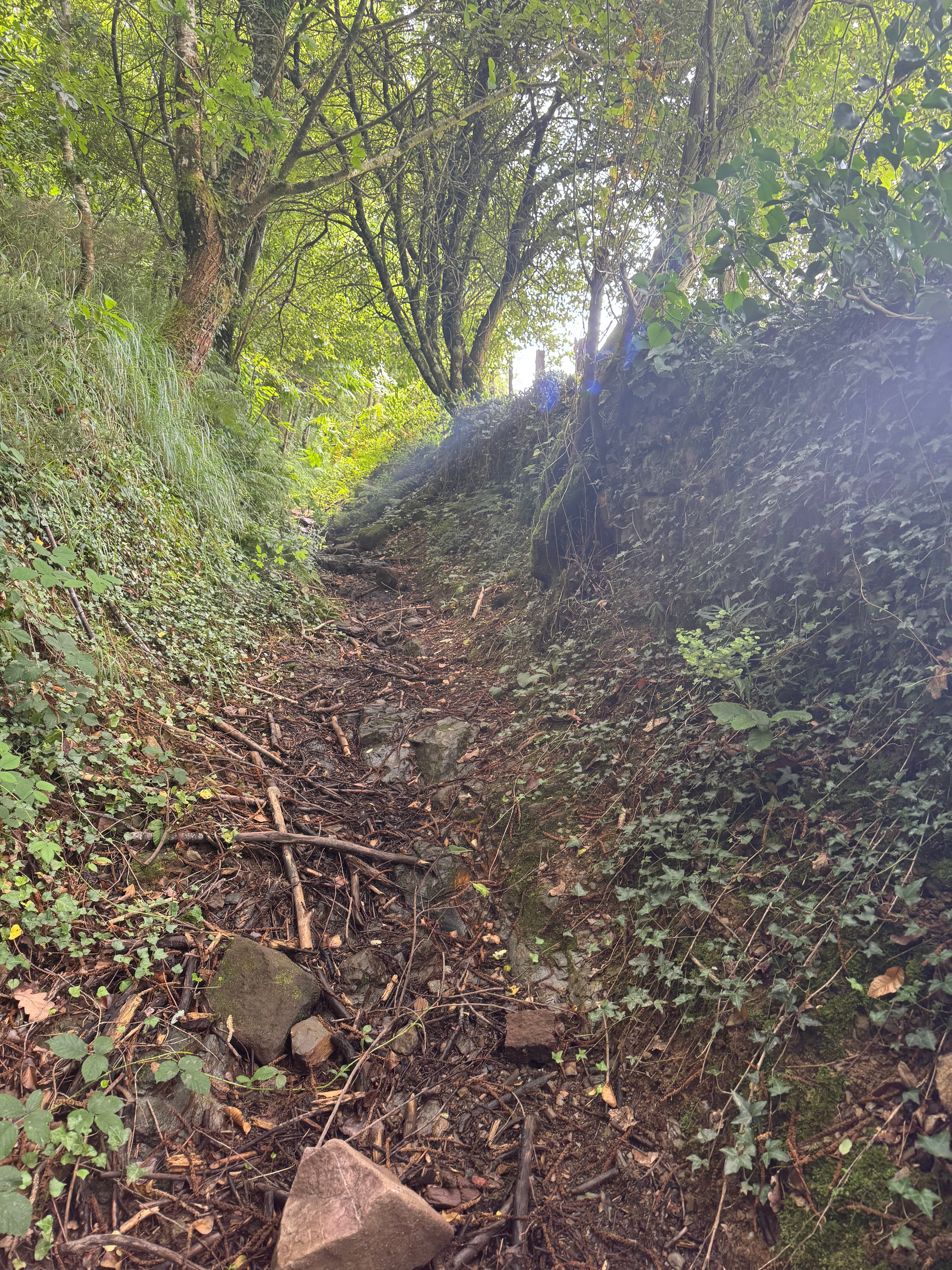 Arrivée à Urepel