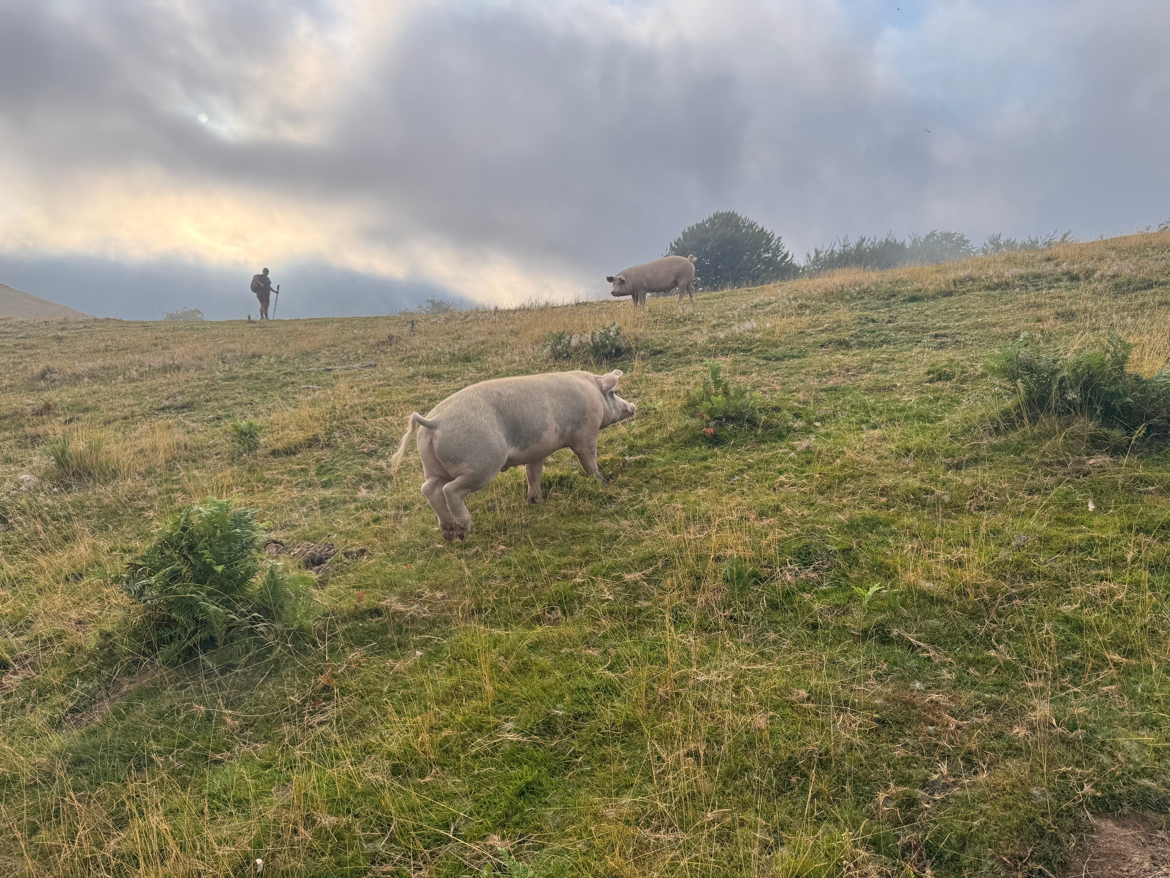 Matin à Egurgi