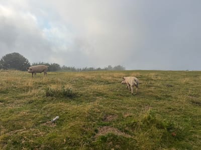jour4 - GR12, Egurgi