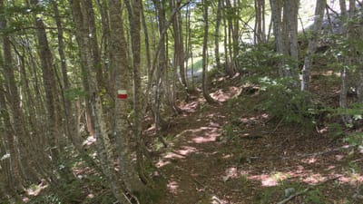 jour5.5 - GR12, Lapazarra
