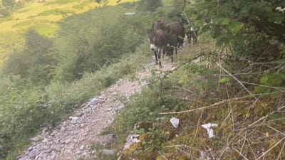 jour6 - GRT13, Plateau de Sanchèse